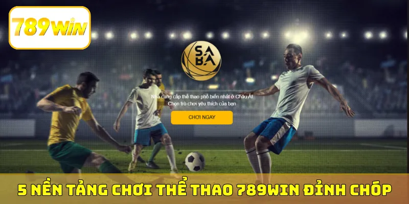 5 nền tảng chơi thể thao 789Win đỉnh chóp