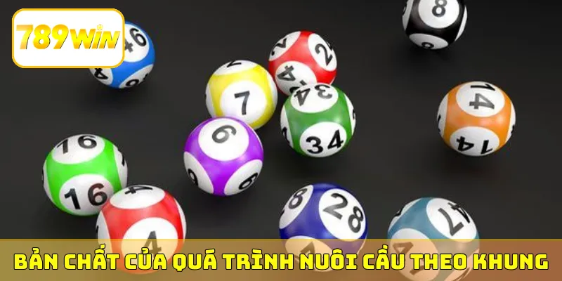 Bản chất của quá trình nuôi cầu theo khung