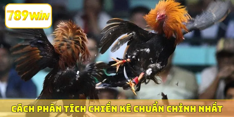 Cách phân tích chiến kê chuẩn chỉnh nhất