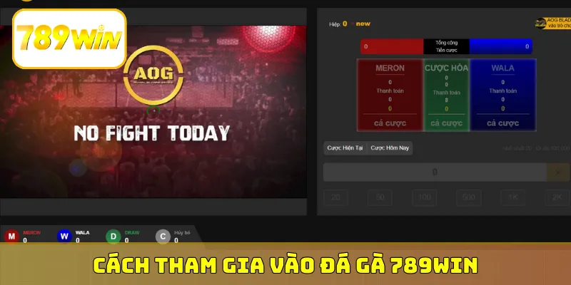Cách tham gia vào đá gà 789Win xanh chín