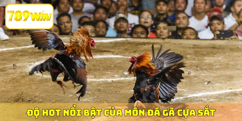 Độ HOT nổi bật của môn đá gà cựa sắt