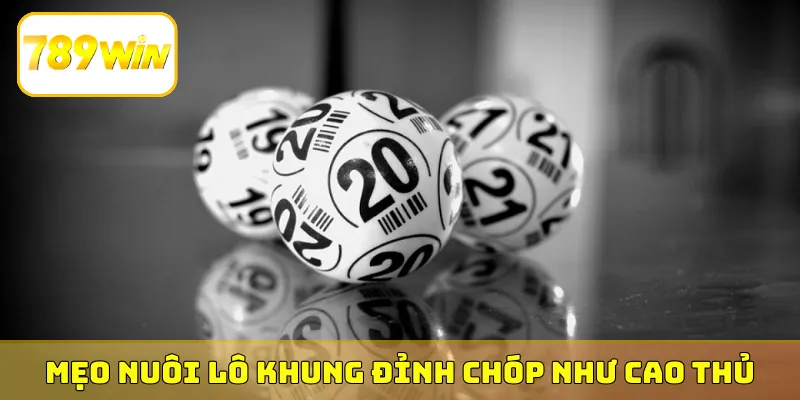 Mẹo nuôi lô khung đỉnh chóp như cao thủ