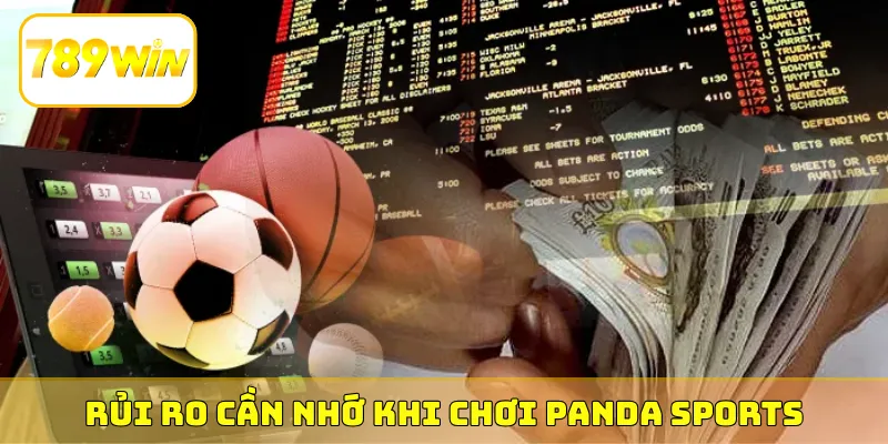 Rủi ro cần nhớ khi chơi PANDA Sports
