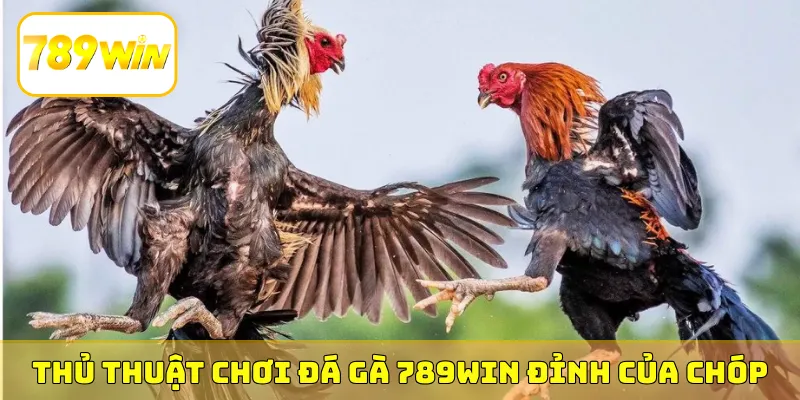 Thủ thuật chơi đá gà 789Win đỉnh của chóp