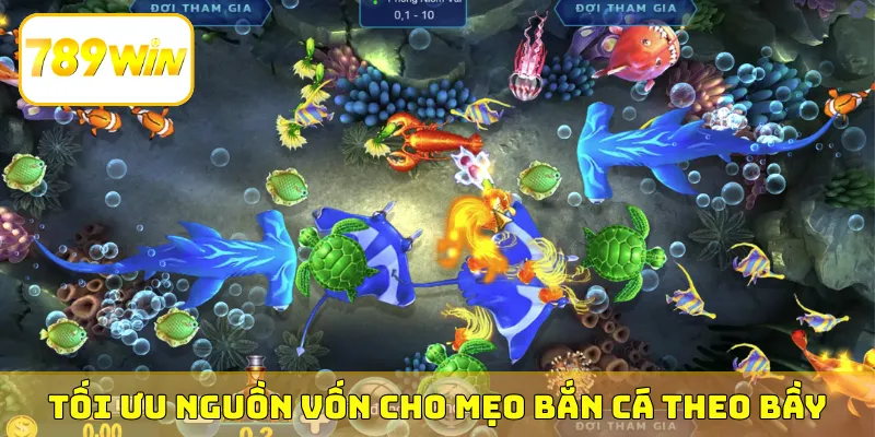 Tối ưu nguồn vốn cho mẹo bắn cá theo bầy