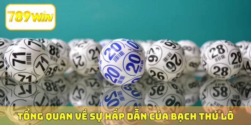 Tổng quan về sự hấp dẫn của bạch thủ lô
